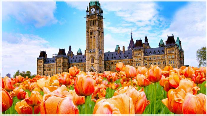 Kinh nghiệm tham quan lễ hội hoa tulip Canada mà du khách nào cũng phải “nằm lòng”