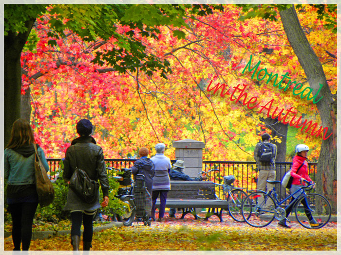 Lắng nghe bản tình ca mùa thu Canada