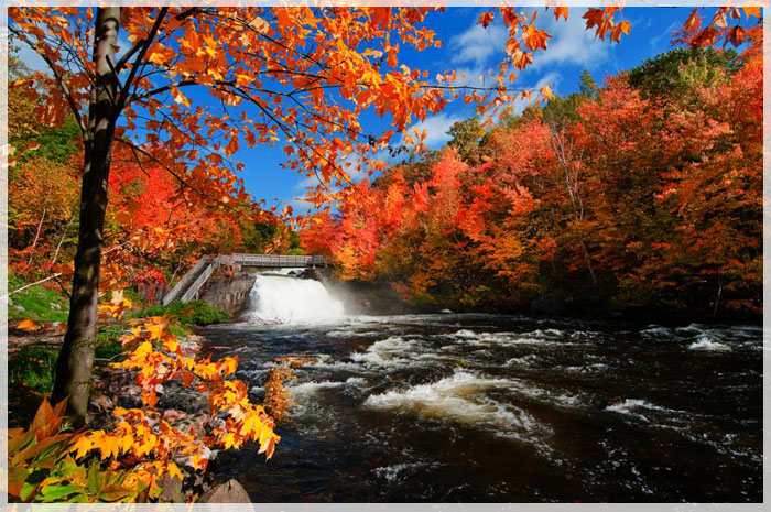 Phố cổ Quebec đón thu sang