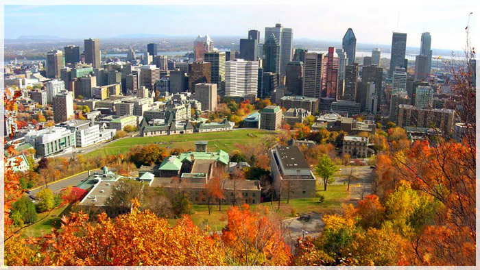 Sống chậm cùng mùa thu Montreal